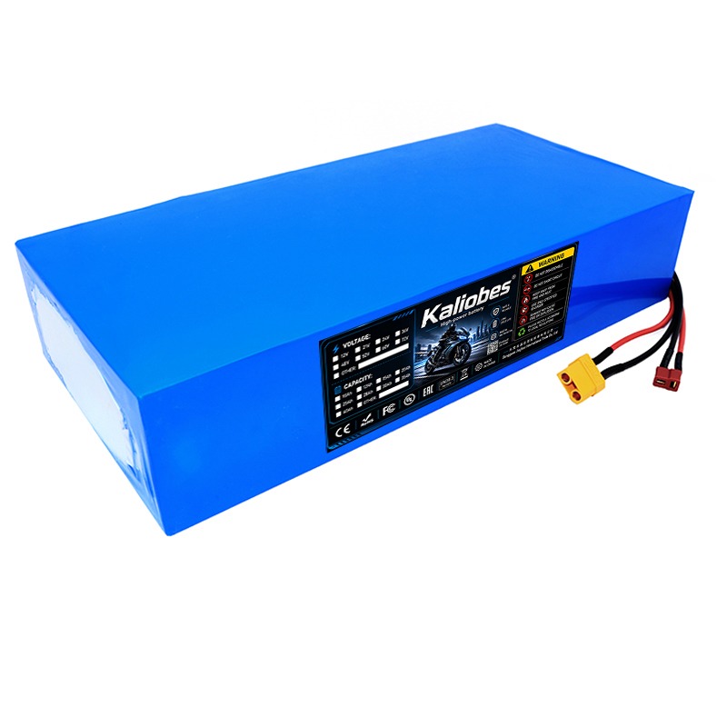 21700リチウムバッテリーパック 60V 50Ah 45A - 60V 30Ah 21700 Battery Pack のレビューと価格